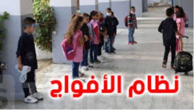 نظام الأفواج