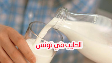 الحليب في تونس