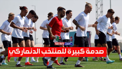 المنتخب الدنماركي