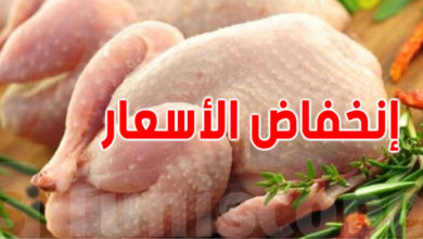 أسعار الدواجن