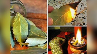 لهذه الأسباب.. عليكم حرق ورق الغار في المنزل! ورق الغار