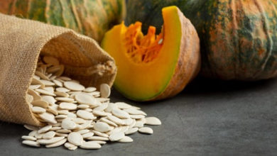 ما النبتة التي وضع سيدنا يونس أوراقها على جسده ؟ اليقطين