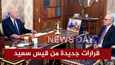 وزير الشؤون الخارجية والهجرة والتونسيين بالخارج نبيل عمار