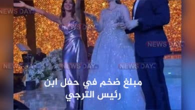 كم تقاضت نانسي عجرم في حفل زفاف ابن حمدي المدب ؟ حفل ابن حمدي المدب