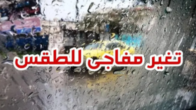 خلايا رعدية