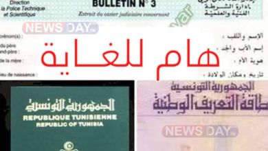 جواز السفر و بطاقة عدد3