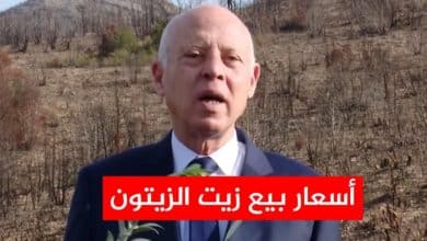 قيس سعيد