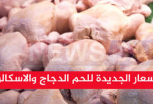 الأسعار الجديدة للحم الدجاج والاسكالوب