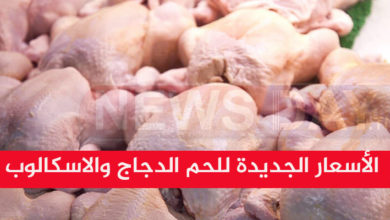 الأسعار الجديدة للحم الدجاج والاسكالوب