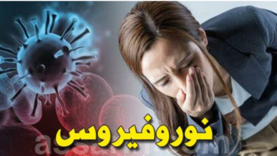 ينتقل عبر اللمس.. تحذير طبي عاجل من انتشار ‘نورو فيروس’ ( كل الوكالات تنشر الخبر) نورو فيروس