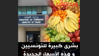 عاجل: بشرى كبيرة للتونسيين و هذه الأسعار الجديدة أسعار الغلال تونس