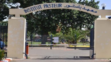 معهد باستور يعلن عن ظهور بؤر لتفشّي داء الكلب معهد باستور