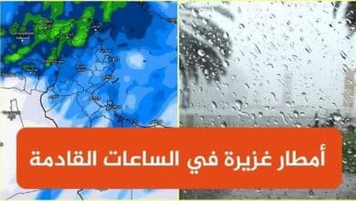 عاجل: خبير الطقس عامر بحبة: أمطار طوفانية خلال الساعات القادمة في هذه الولايات ( فيديو) pluis fort