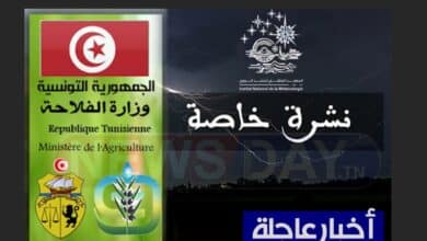 عاجل: تحيين منذ قليل.. الرصد الجوي ووزارة الفلاحة يحذران الرصد الجوي يحذر