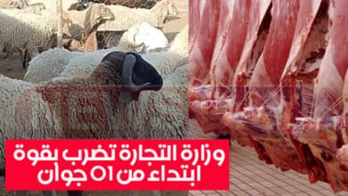 أسعار لحم الخروف