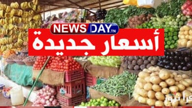 عاجل: وزارة التجارة تحدد أسعار الخضار أسعار الخضار