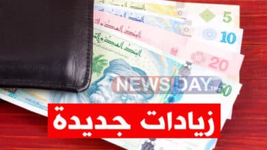 قانون المالية 2025: تفاصيل الزيادات في الأجور حسب شريحة الدخل السنوي زيادات في الأجور