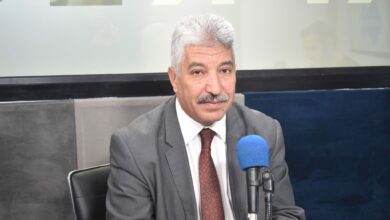 وزير التشغيل يزف بشرى تاريخية لكل العاطلين عن العمل وزير التشغيل التونسي